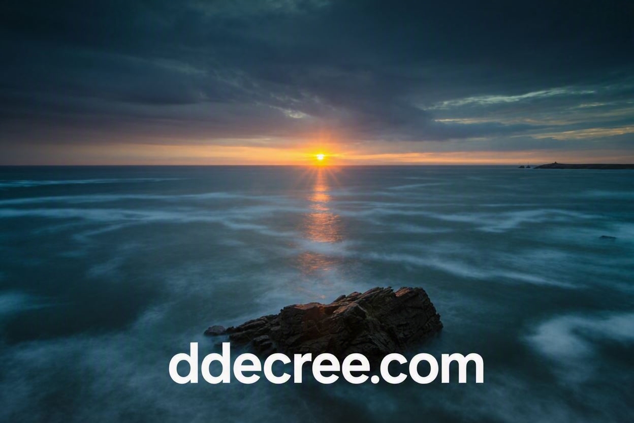 Ddecree 7